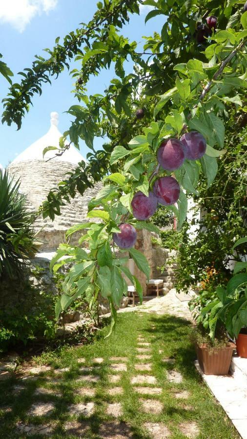 프란카빌라 폰타나 Il Trullo Del Cadetto 빌라 외부 사진